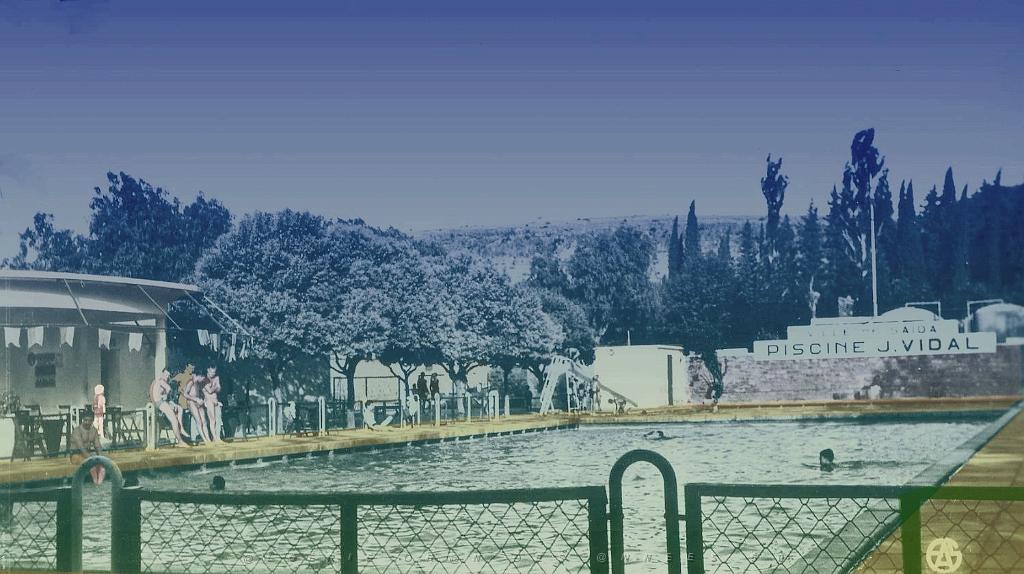 Saida 509- Piscine municipale.jpg